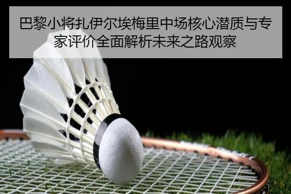 巴黎小将扎伊尔埃梅里中场核心潜质与专家评价全面解析未来之路观察